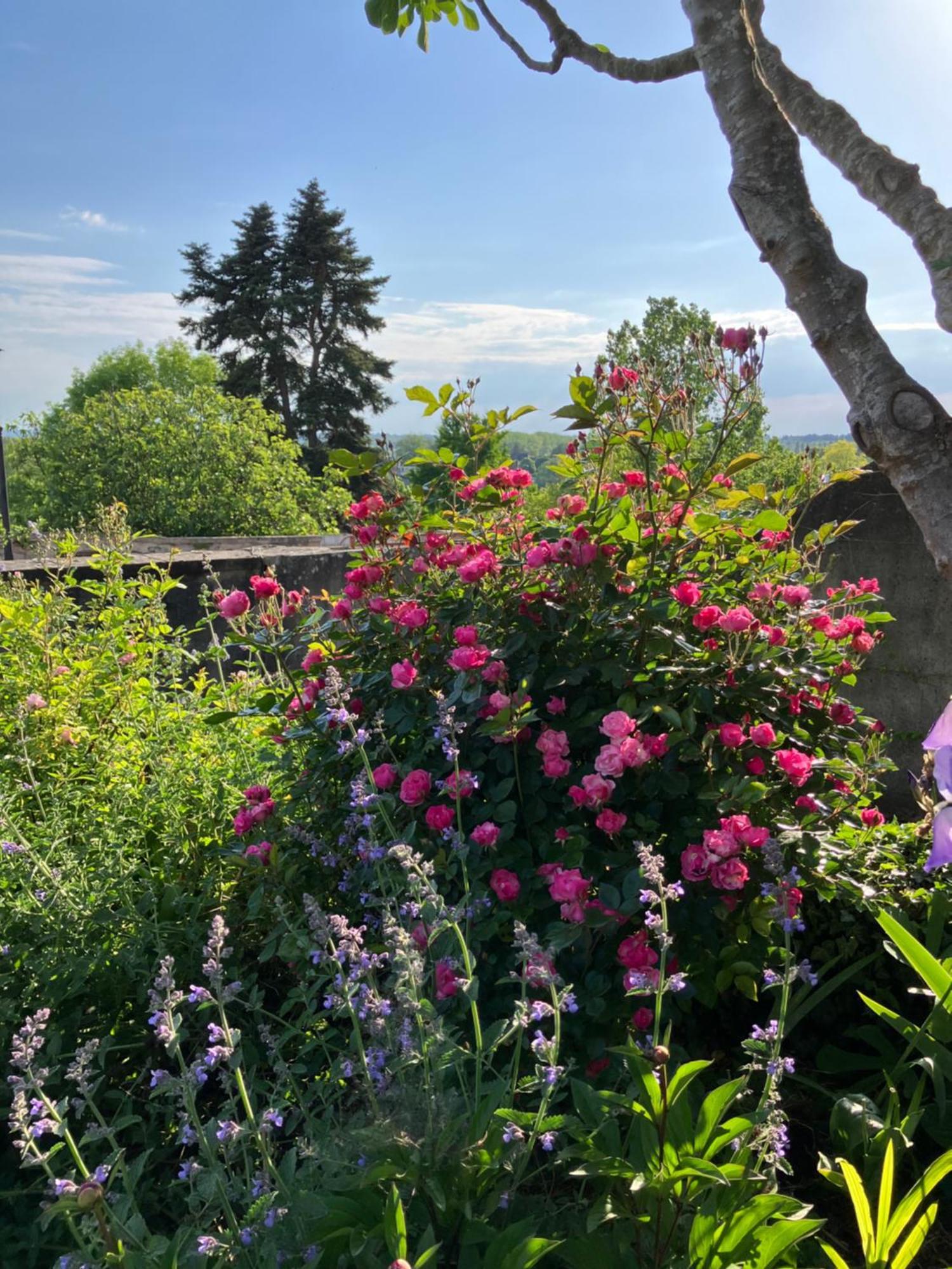 La Villa Lauvray Vétheuil Kültér fotó